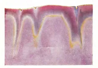 Gold Chloride - Christmas 1929
