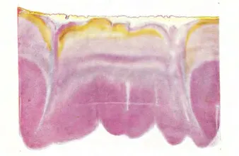 Gold Chloride - Easter 1929